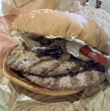 【カレー以外まとめ】2024年5月第2週（05/07～05/12）：バーガーキング / すき家 / 川越「GOOD DAYS BURGER」