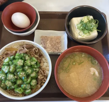 【カレー以外まとめ】2025年1月第2週（01/06～01/12）：バーガーキング / ローソン×2 / 川越「鳥良商店」 / すき家×2 / 川越「バーガーカフェホノホノ」 / 狭山「SHAKA」