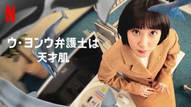 【韓国ドラマ】ウ・ヨンウ弁護士は天才肌（2022 / NF：全16話）　⇒　めっちゃ面白かった